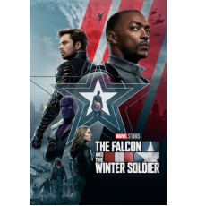 Сокол и Зимний Солдат