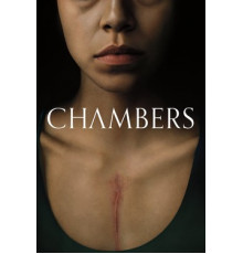 Камеры моего сердца