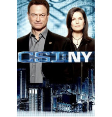 CSI: Место преступления Нью-Йорк