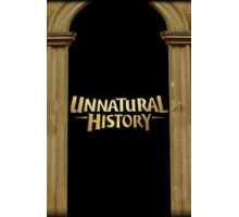 Невероятная история