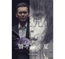 Омрачённое лето