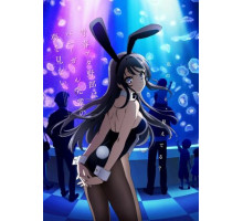 Этот глупый свин не понимает мечту девочки-зайки