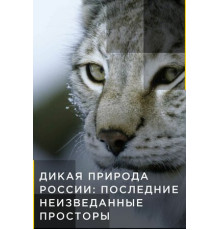 Дикая природа России: Последние неизведанные просторы