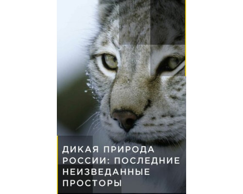 Дикая природа России: Последние неизведанные просторы смотреть онлайн