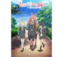 Хлопоты кентавра