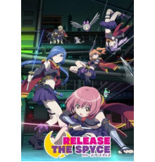 Освобождение шпионов