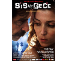 Туман и ночь