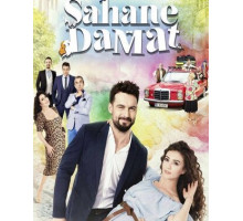 Замечательный зять