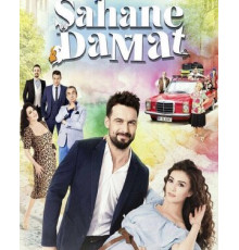 Замечательный зять