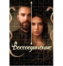 Воссоединение
