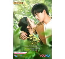 Чудо-целитель