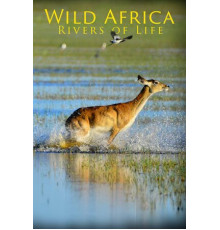 Дикая Африка: Реки жизни
