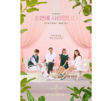 Тайная жизнь моего секретаря