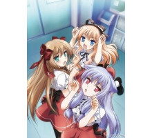 Нашествие бродячих кошек!