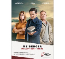 Майбергер. В голове преступника