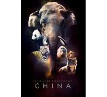 Затерянные царства Китая