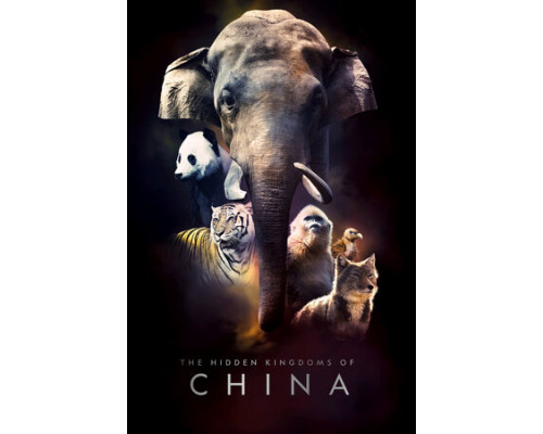 Затерянные царства Китая смотреть онлайн