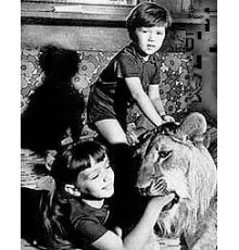 У меня есть лев