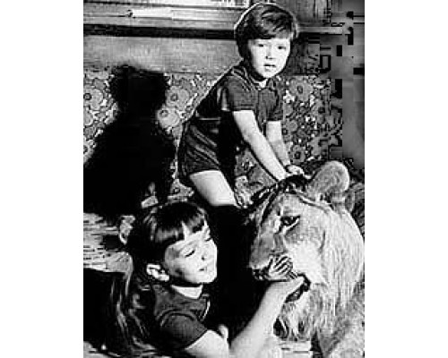 У меня есть лев смотреть онлайн