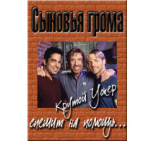 Сыновья грома