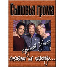 Сыновья грома