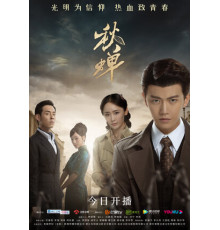 Осенняя цикада