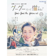 Кот по имени Гу-Гу