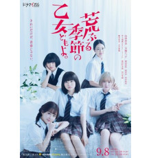 Сезон беспокойных дев