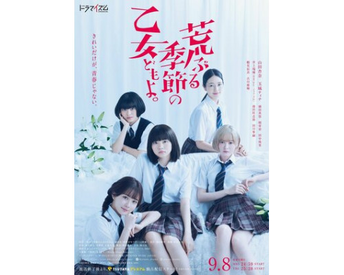 Сезон беспокойных дев смотреть онлайн