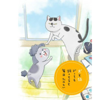 Весёлые дни с кошкой и собакой