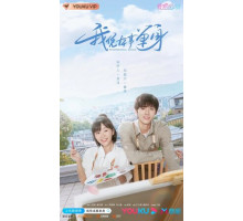 Профессионал-одиночка