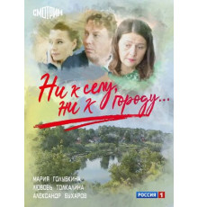 Ни к селу, ни к городу