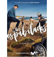 Шустрые ребята