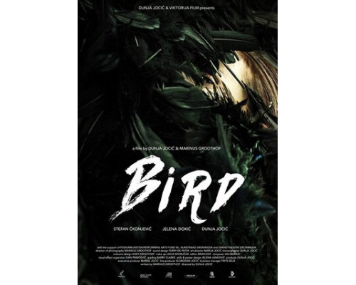 Птица, которая не плачет смотреть онлайн