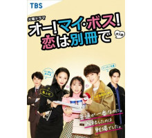 О, мой босс! Любовь — это бонусная книга