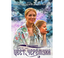 Цвет черемухи