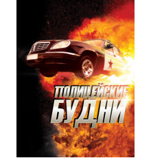 Полицейские будни