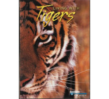 Жизнь с тиграми