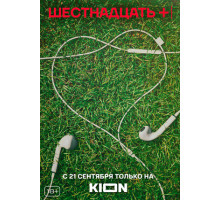 Шестнадцать +