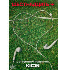 Шестнадцать +