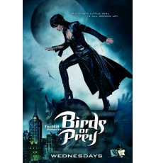 Хищные птицы