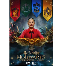 Гарри Поттер: Турнир факультетов Хогвартса