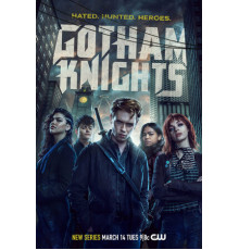 Рыцари Готэма