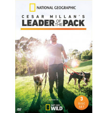 Сесар Миллан: Вожак стаи