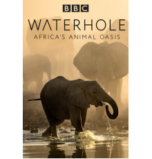 Водопой: Африканский оазис для животных