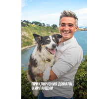 Приключение Донала в Ирландии