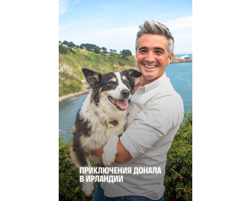 Приключение Донала в Ирландии смотреть онлайн