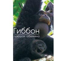 Гиббон — поющая обезьяна