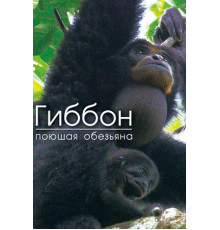 Гиббон — поющая обезьяна