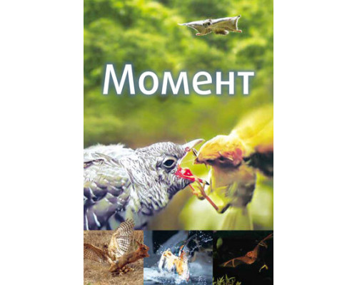 Момент смотреть онлайн